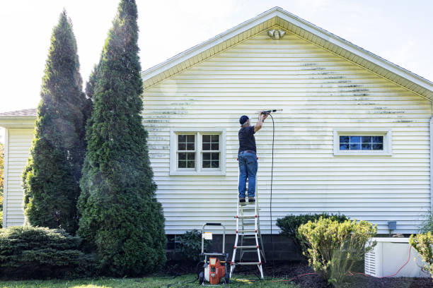 Best Solar Panel Cleaning  in Lla Lla East, WA
